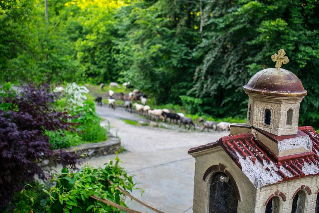 Guest House Verbena Apriłci Zewnętrze zdjęcie