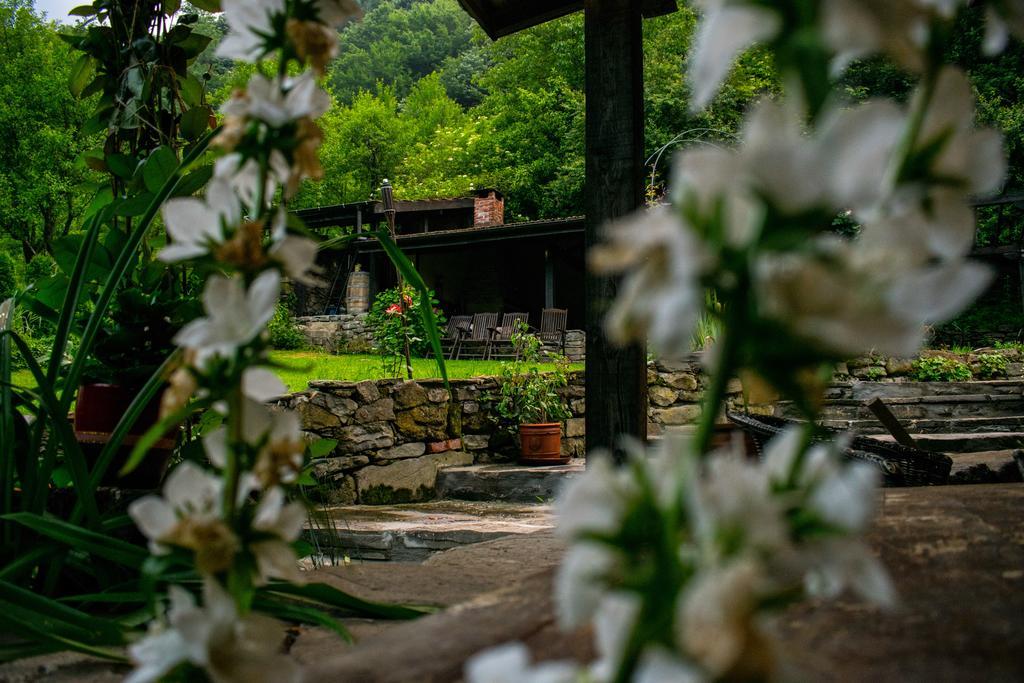 Guest House Verbena Apriłci Zewnętrze zdjęcie